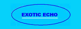 Exoticecho.com: India News
